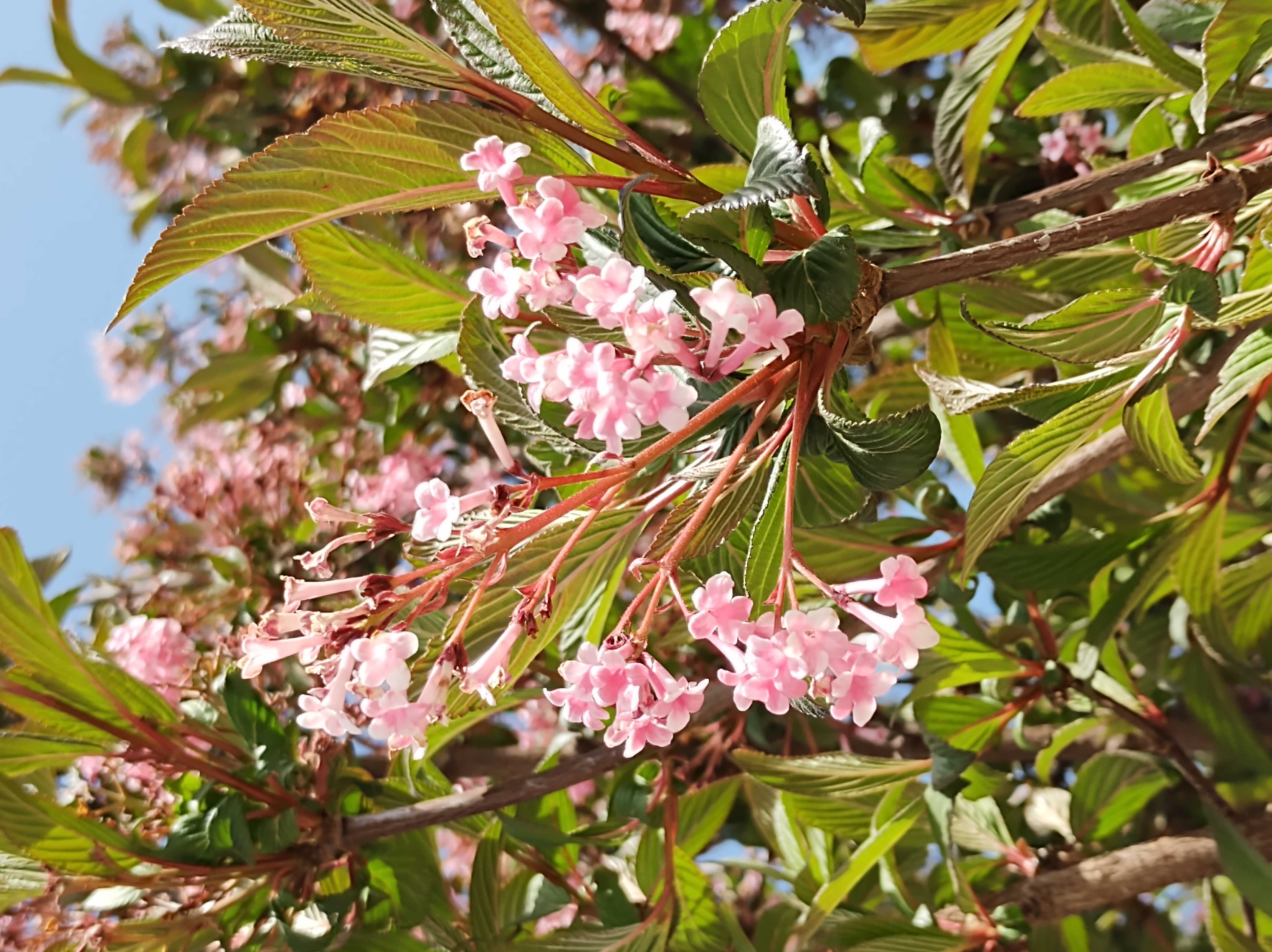 No s'ha trobat l'arxiu